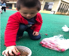 QQ图片20190325155311