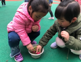 QQ图片20190325155316