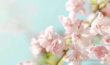 微信图片_20200507122458
