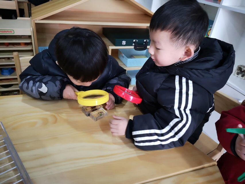 QQ图片20190227134242.jpg