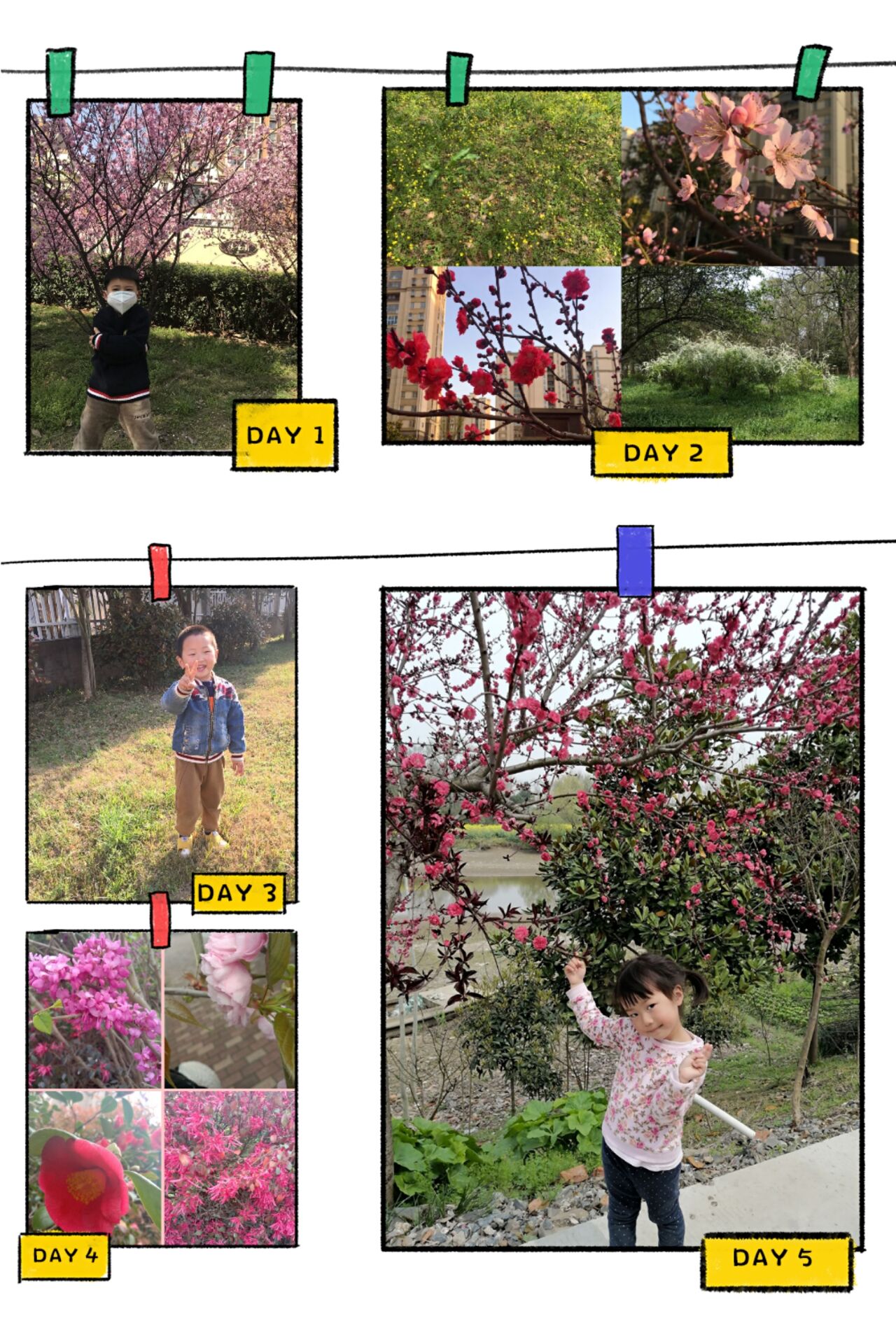 亲近植物.jpg