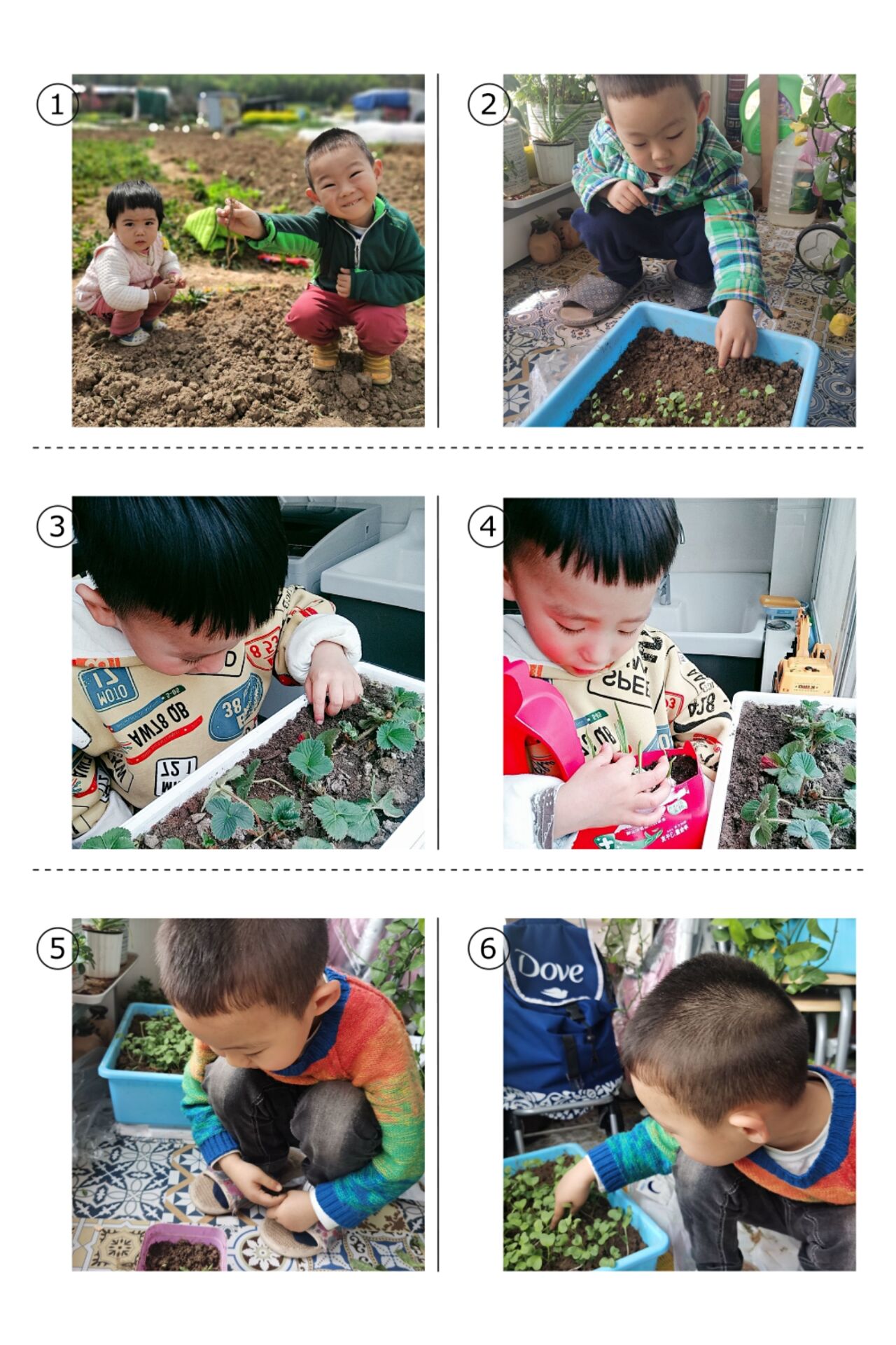 小小植物观察员.jpg